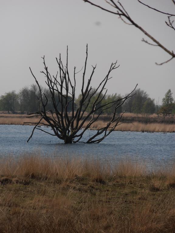 Gezond Boeren Verstand Dalerveen Exterior photo